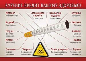 Плакат о вреде курения (А2) (594х420; Пластик ПВХ 4 мм, ПЭТ, алюминиевый профиль)